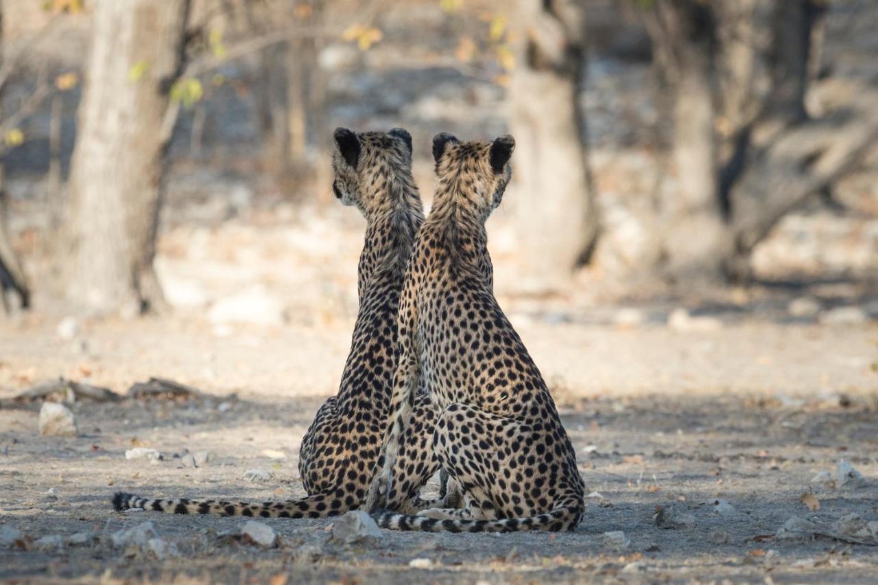 Anderssons At Ongava Villa Okaukuejo Buitenkant foto